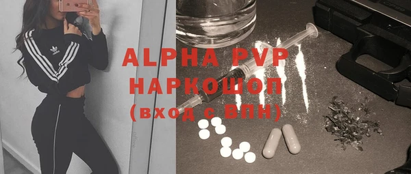 прущие грибы Медвежьегорск