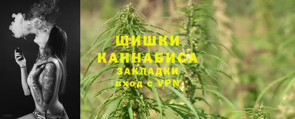 гидра Мегион