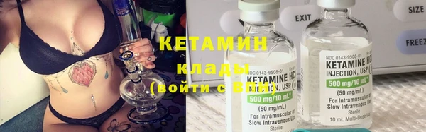 прущие грибы Медногорск