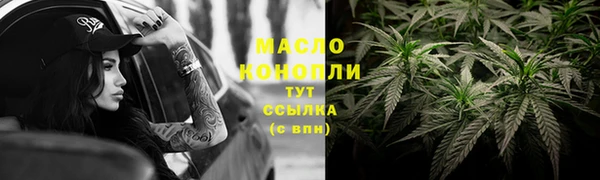 прущие грибы Медвежьегорск