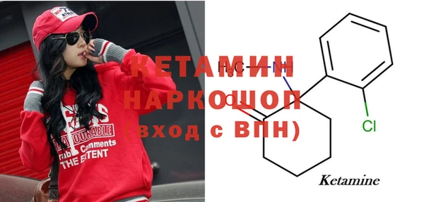 прущие грибы Медвежьегорск