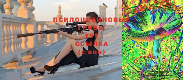 гидра Мегион