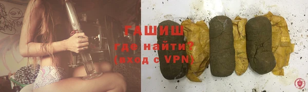 прущие грибы Медногорск