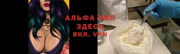 прущие грибы Медвежьегорск