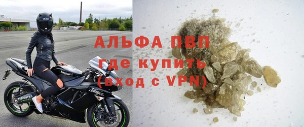 прущие грибы Медногорск