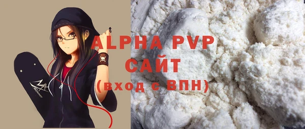 прущие грибы Медвежьегорск