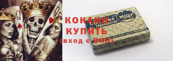 гидра Мегион
