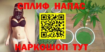стаф Донецк
