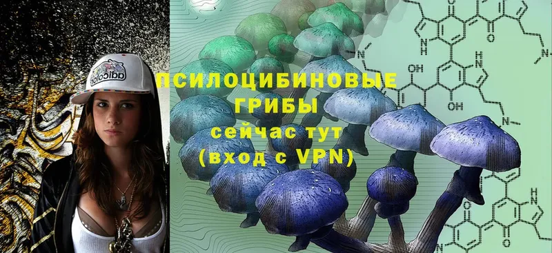 Псилоцибиновые грибы Magic Shrooms Мыски