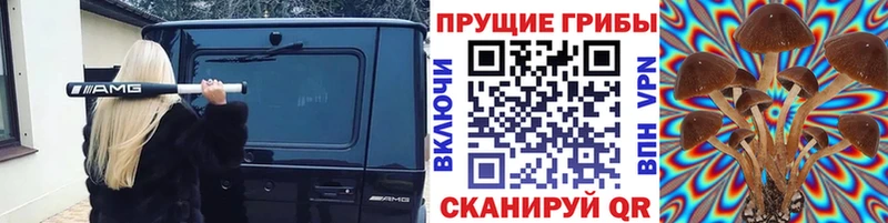 Псилоцибиновые грибы MAGIC MUSHROOMS  Мыски 