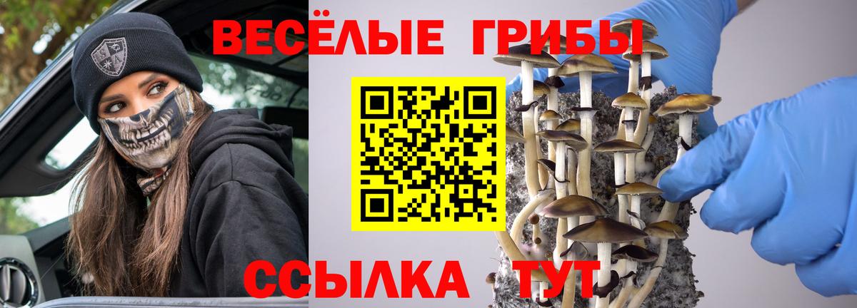 Мыски  Псилоцибиновые грибы Magic Shrooms  Галлюциногенные грибы MAGIC MUSHROOMS  Вход с VPN 