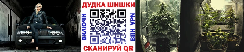Конопля план  закладки  Мыски 